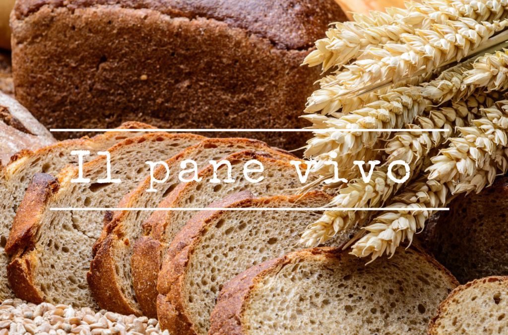 Il pane di vita: per non avere più fame in eterno